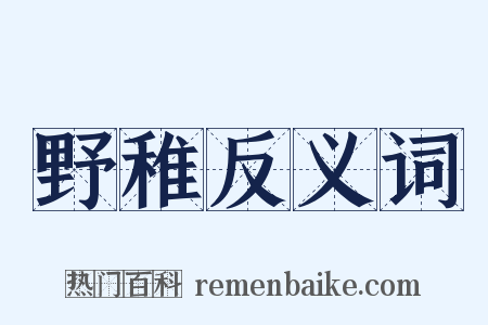 野稚反义词是什么意思的图片